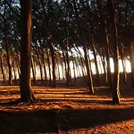 Miramare Szálloda Marina di Cecina